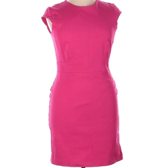 Ann Taylor Pink Knee Length Dress - Picture 1 of 3